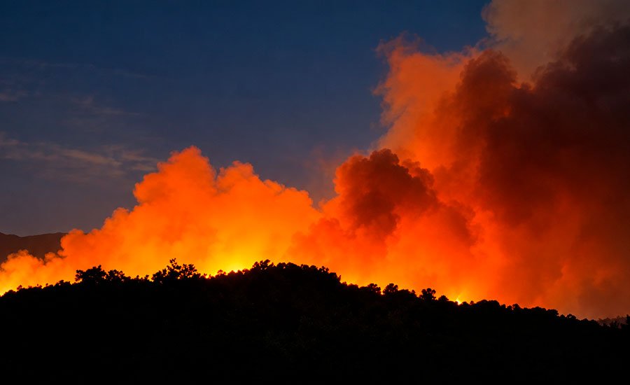 Incendios forestales en el Cajón del Maipo: qué deja una primavera lluviosa